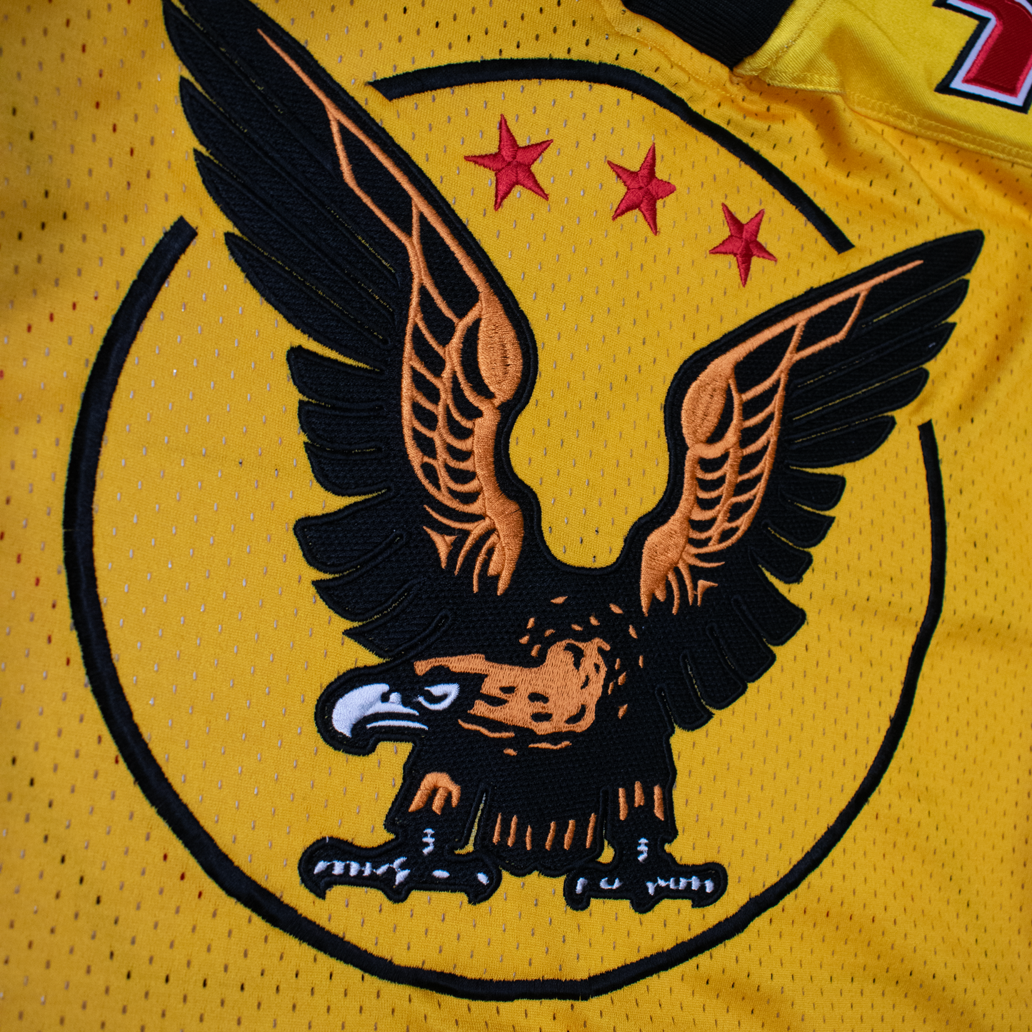 GOLDEN WINGS JERSEY (YELLOW)
